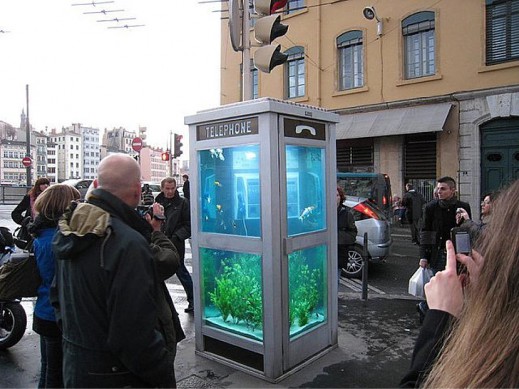 Телефонные будки-аквариумы