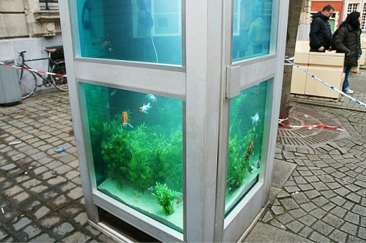 Телефонные будки-аквариумы